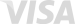 visa-300x97